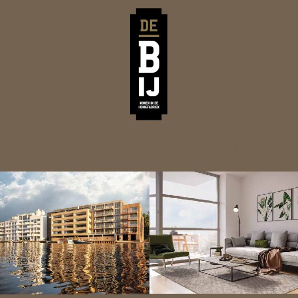 brochure brochure