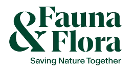Fauna&Flora