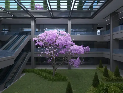 The Address