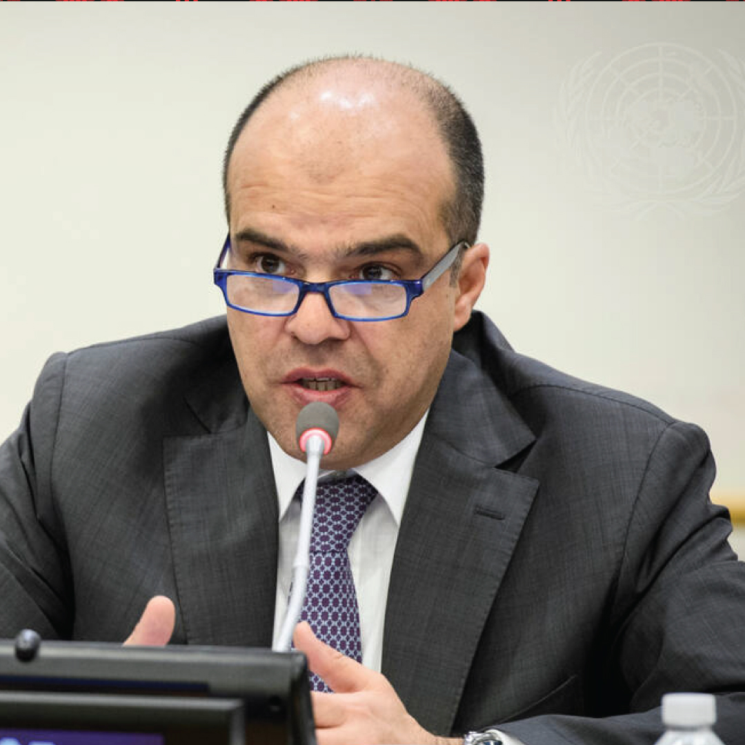 mouin-rabbani-2-arab-reform-initiative