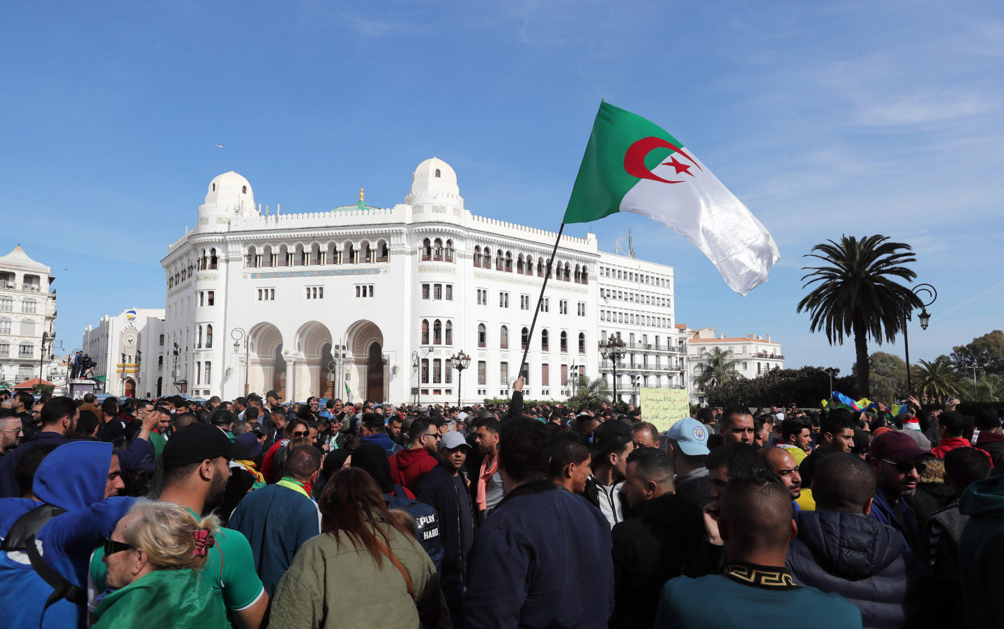 The Future of Football in Algeria: A Nation's Passion, Progress, and Potential