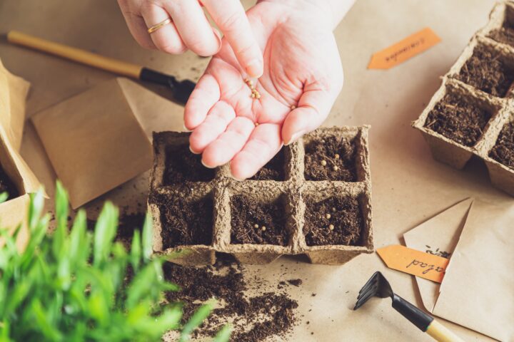 مسارات نحو تحقيق السيادة الغذائية في لبنان