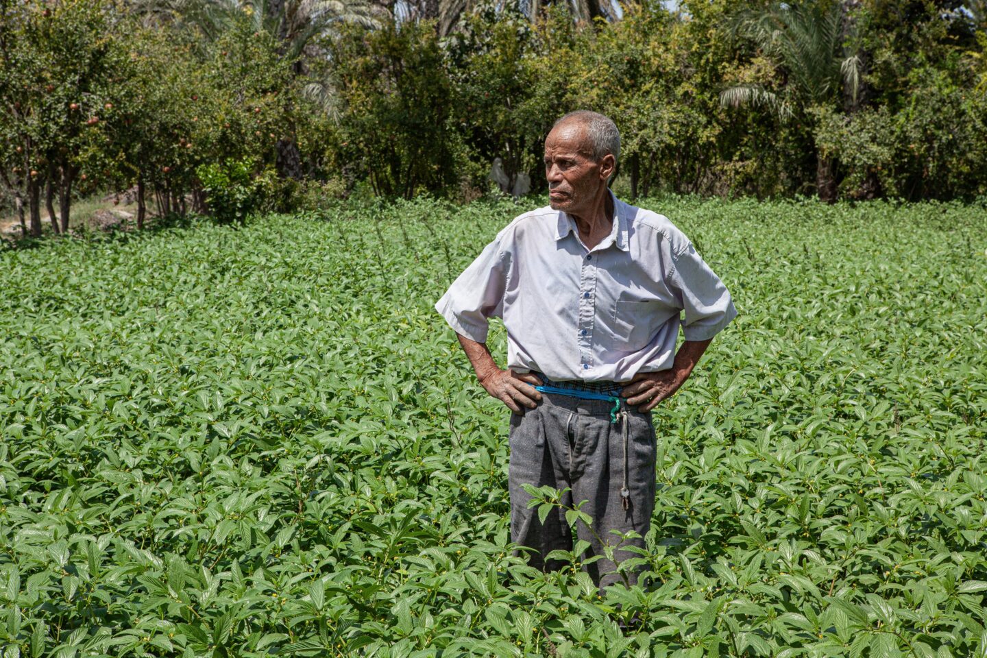 Food Sovereignty and the Just Transition in Tunisia