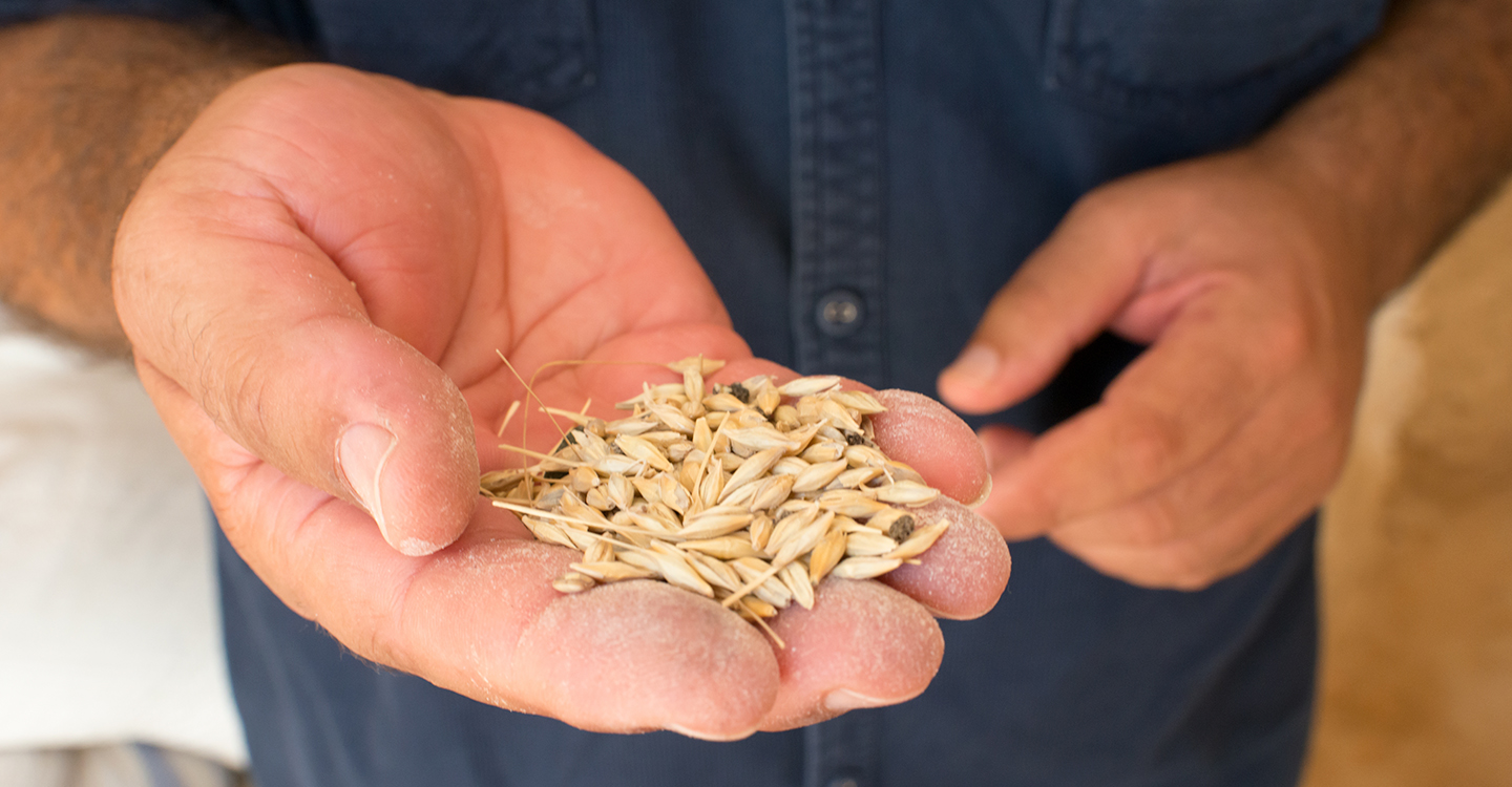 Seeds Beyond Submission: Quiet Resistance in Rural Tunisia