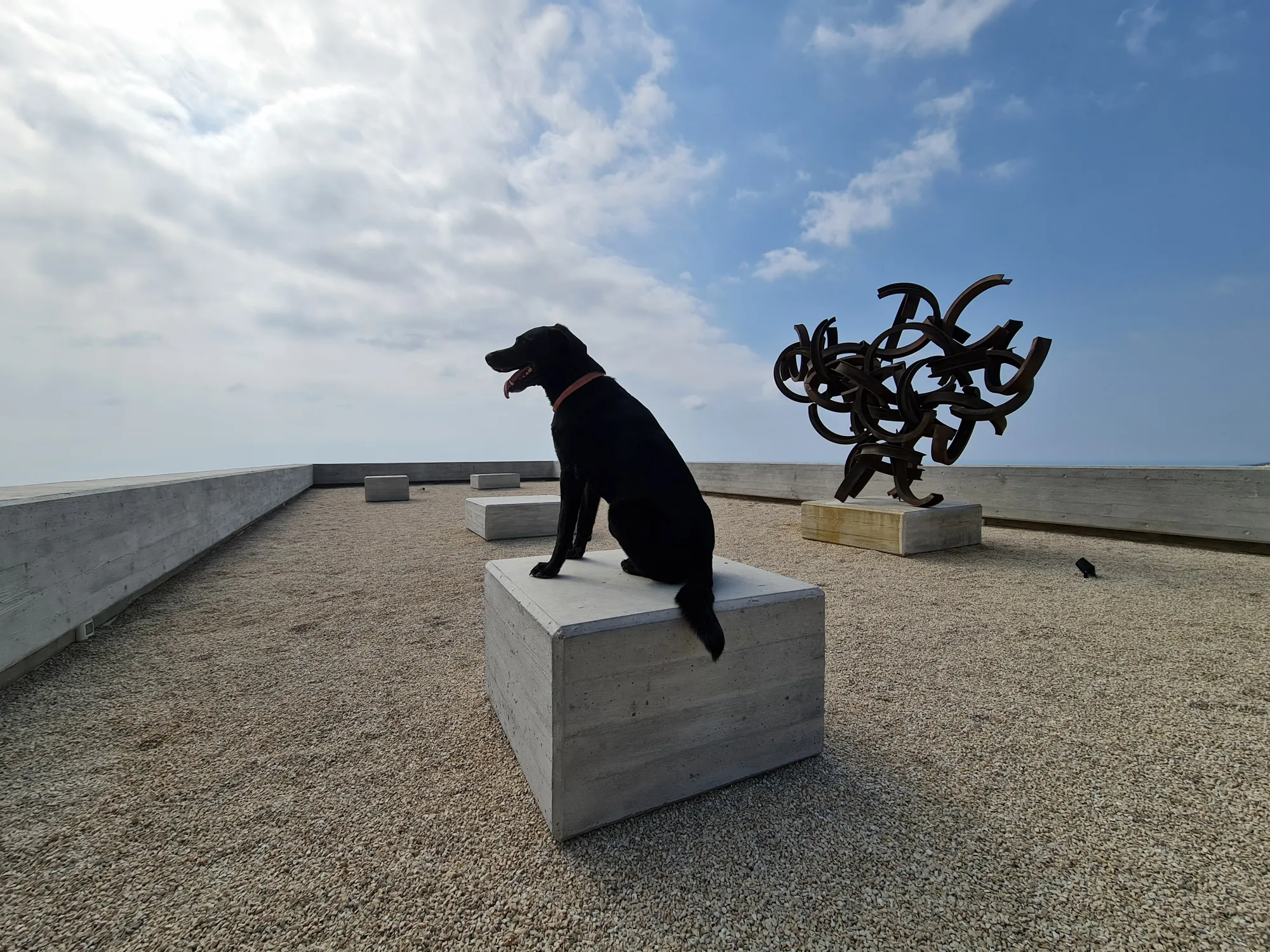 MAB gallery image 10
