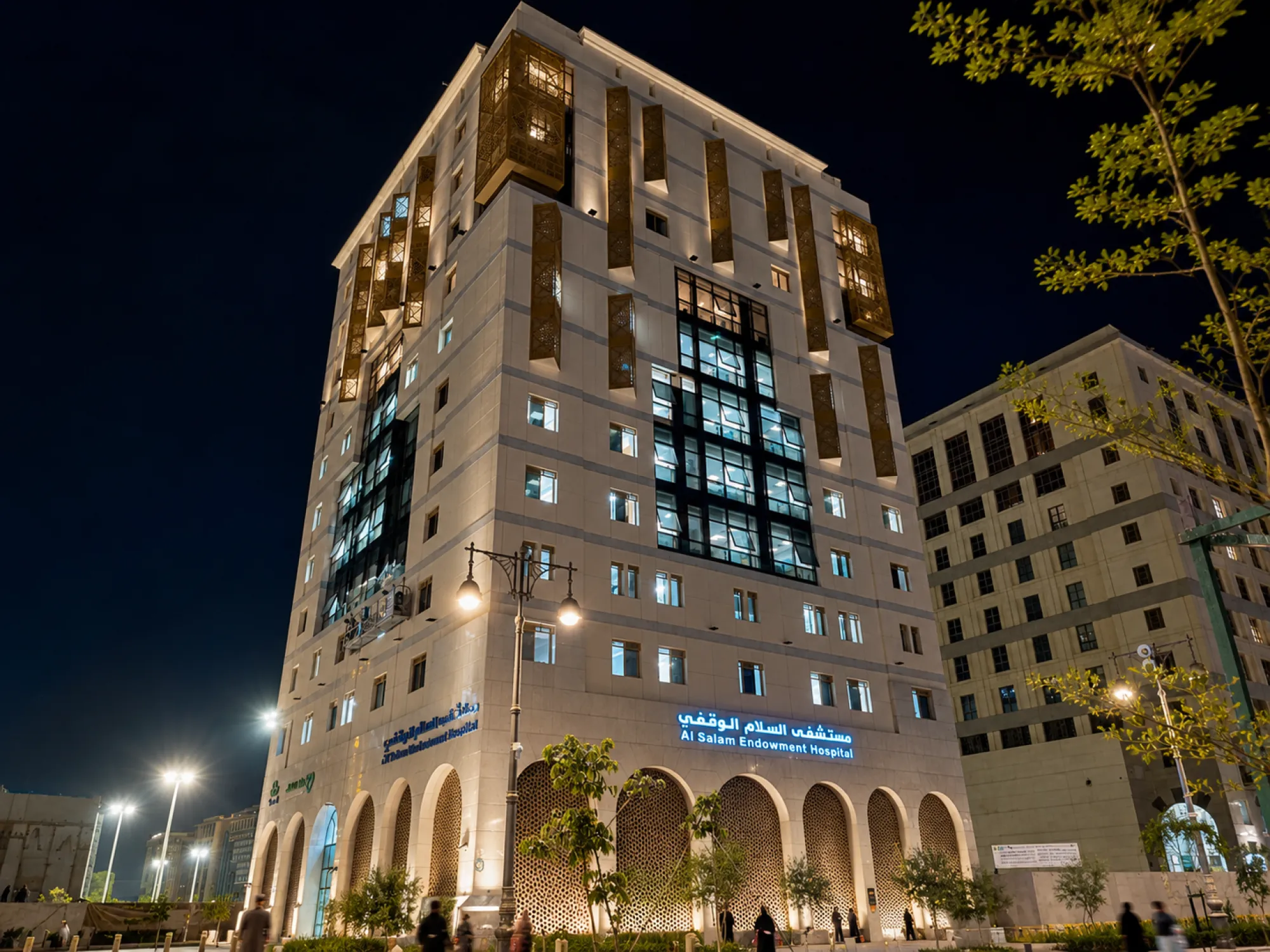 Al Salam Endowment Hospital project cover image