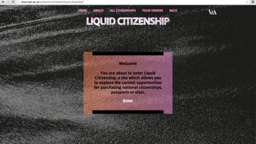 Femke Herregraven, Liquid Citizenship, 2015