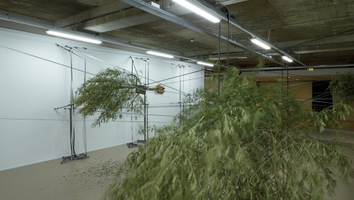 Sensory Spaces 5 - Siobhán Hapaska