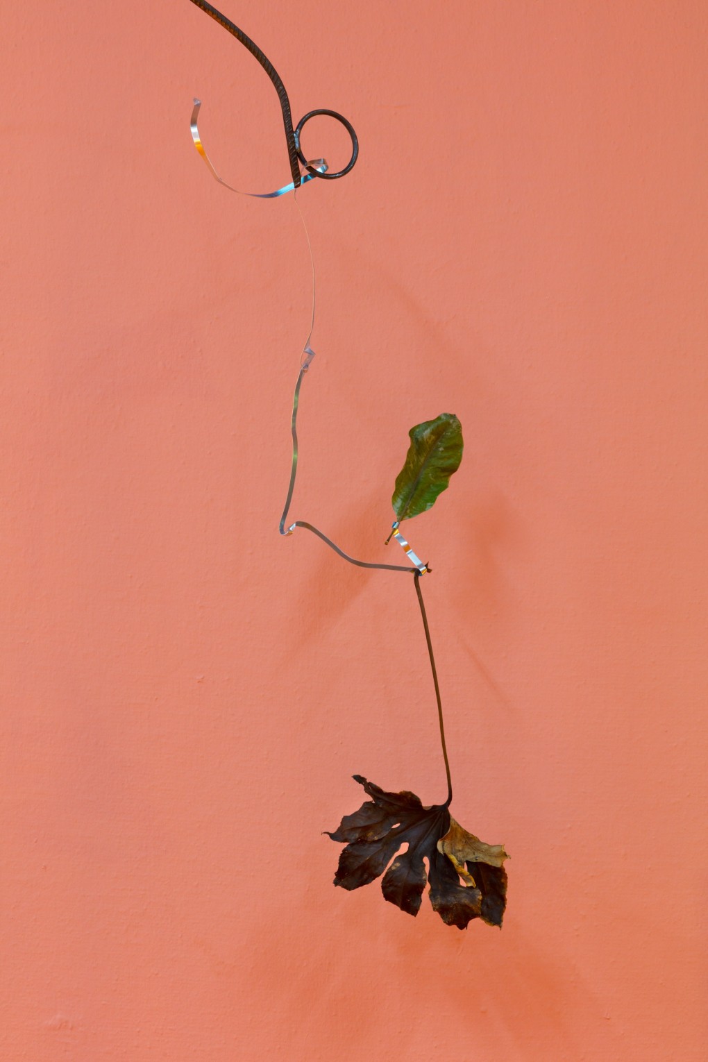 Anne Hardy Sensory Spaces 13 (detail), exhibition view: Museum Boijmans Van Beuningen, Rotterdam, 2018. © Anne Hardy, courtesy Maureen Paley, London, photo: Angus Mill