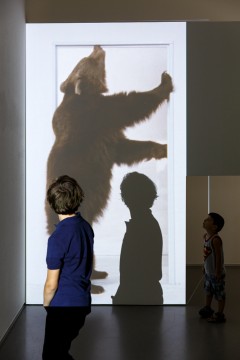 Photo: Aad Hoogendoorn
