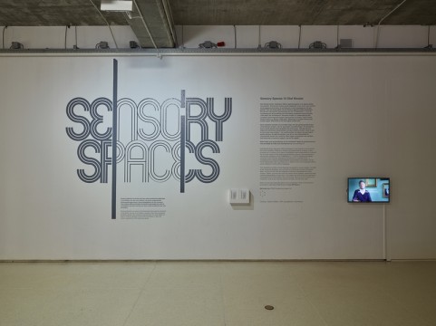 Exhibition overview 'Sensory Spaces - Olaf Nicolai'. Photo: Hans Wilschut