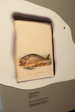 Exhibition overview 'Project Rotterdam - The Wales Ear' Photo: Lotte Stekelenburg