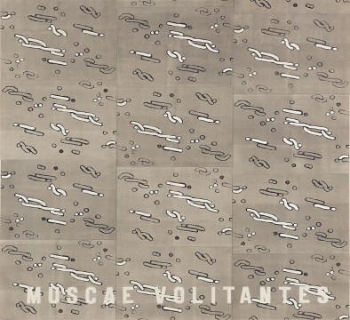 Willem Oorebeek, Muscae volitantes, 1987