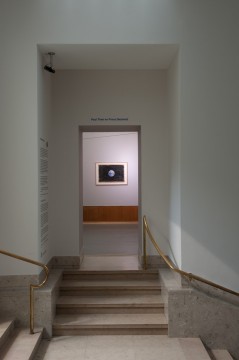 Exhibition overview Paul Thek. Photo: Lotte Stekelenburg