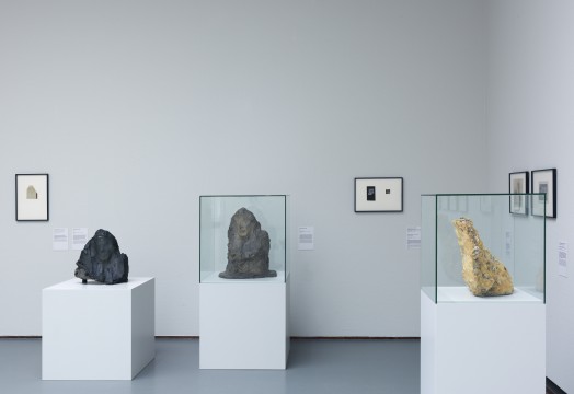 Tentoonstelling Brancusi, Rosso, Man Ray - Framing Sculpture, Museum Boijmans Van Beuningen, 2014. Foto: Gert-Jan de Rooij, Amsterdam.