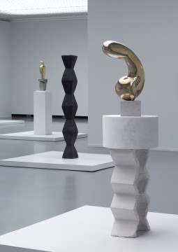 Tentoonstelling Brancusi, Rosso, Man Ray - Framing Sculpture, Museum Boijmans Van Beuningen, 2014. Foto: Gert-Jan de Rooij, Amsterdam.