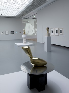 Tentoonstelling Brancusi, Rosso, Man Ray - Framing Sculpture, Museum Boijmans Van Beuningen, 2014. Foto: Gert-Jan de Rooij, Amsterdam.