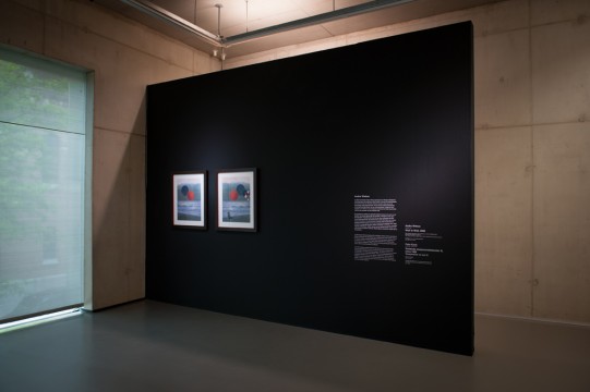 Exhibition overview 'The Extended view' Photo: Lotte Stekelenburg