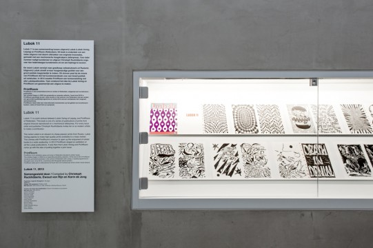 Exhibition overview 'Lubok 11' Photo: Lotte Stekelenburg