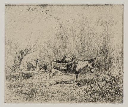 Charles-François Daubigny, Ezel in het veld, 1862 cliché-verre, 15,8 x 19,1 cm Editie 1921. Nr. 104 van een oplage van 150. Verzameling W., prenthandel Robert Prouté, Parijs 1975.