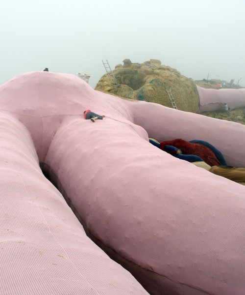 Rabbit under construction, 2005 © Gelitin