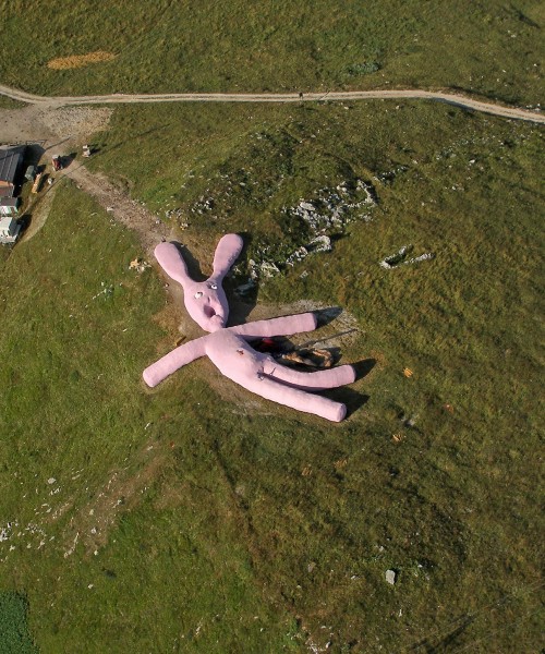 Rabbit, 2005 © Gelitin