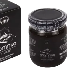 Shilajit Paste