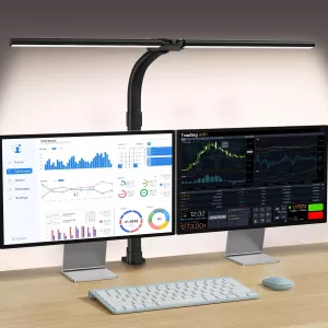 Double Head Desk Lamp