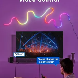 LPDISPLAY Smart Neon LED Light Strip 3m, RGB-IC 16Mil. Colors Changing, Music Sync, Works with Alexa and Google Assistant, Upgraded Shiny Structure, 2.4Ghz WiFi [Energy Class G]