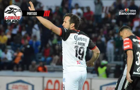 Football Lebanon - التقرير الأسبوعي للمحترفين