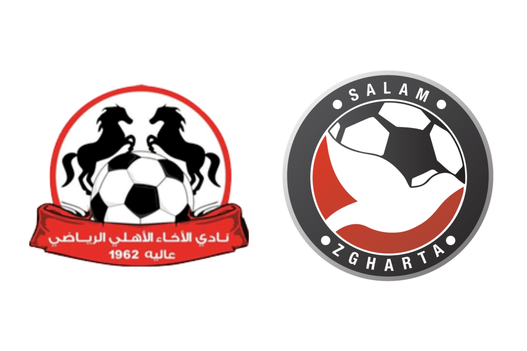 Football Lebanon - الإخاء و السلام لكتابة المجد بين الكبار 