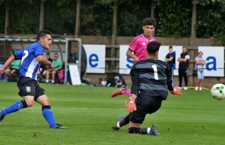 Football Lebanon - أخبار المحترفين | حمود يسجل أمام كريستال بالاس وأميوني يخطف هدف في الكأس