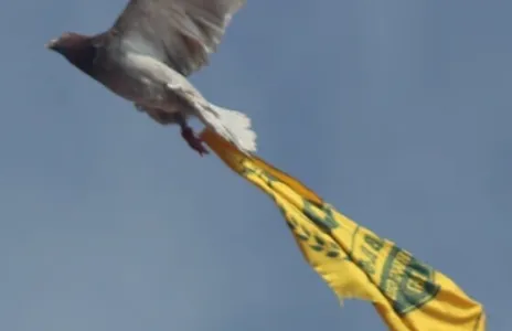 Football Lebanon - لفتة مميزة من جماهير شباب البرج 