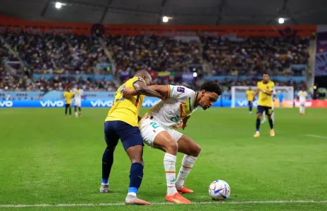 Football Lebanon - السنغال ترافق هولندا إلى دور الستة عشر بالفوز على الإكوادور