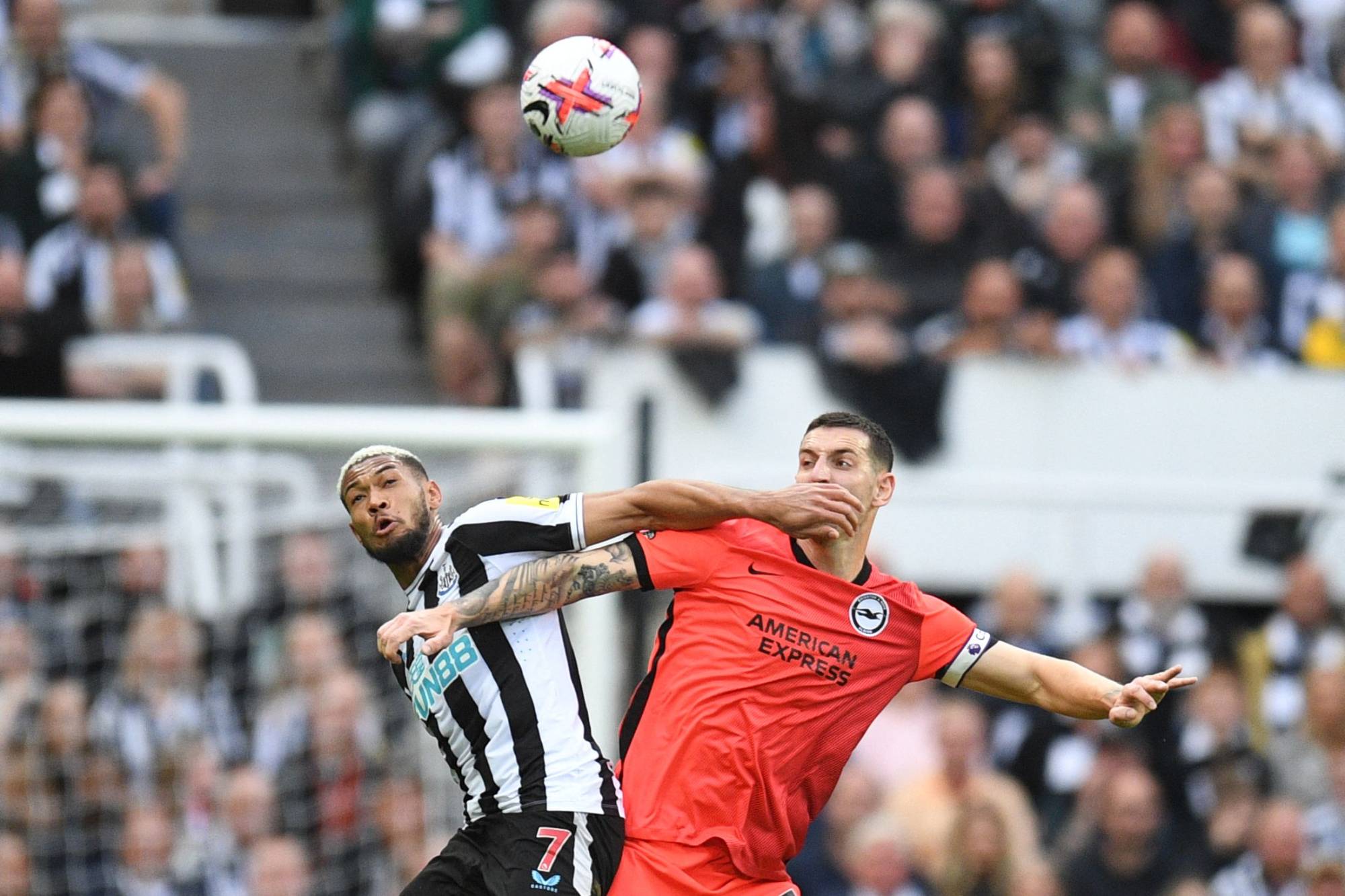 Football Lebanon - نيوكاسل يقترب من دوري الأبطال برباعية ضدّ برايتون