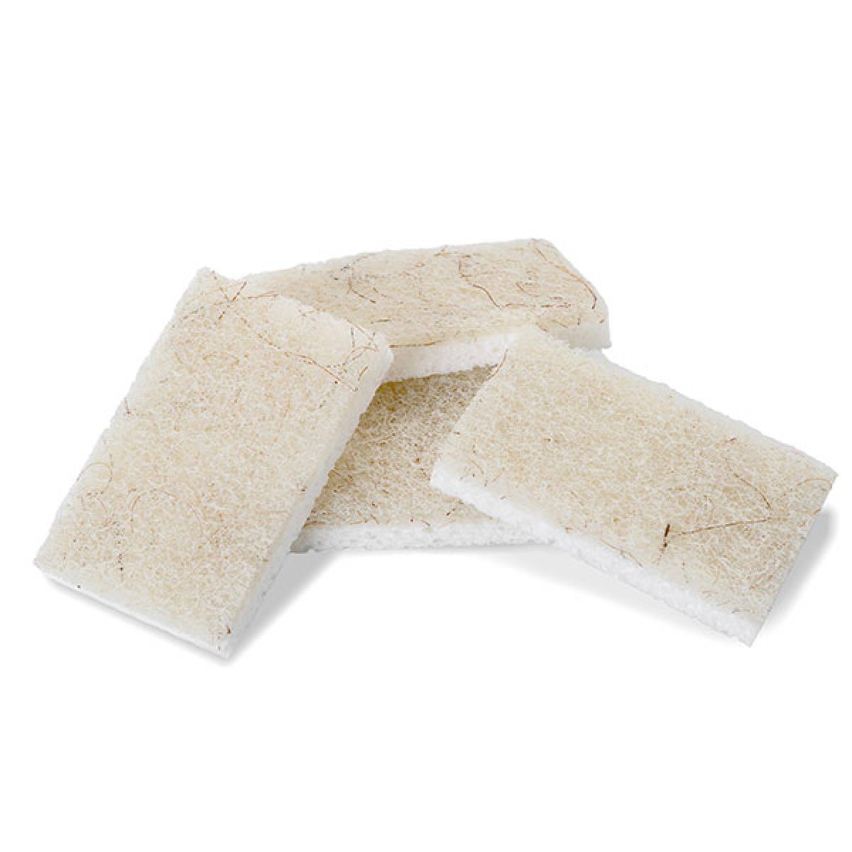 Coconut scrubber sponges (2pk)-FULL CIRCLE