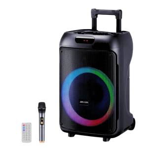 Portable 12 inch Karaoke Trolley Party Speaker