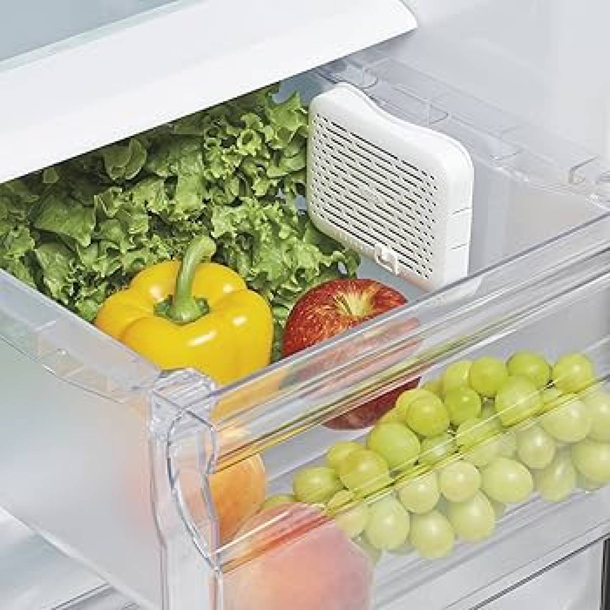Oxo - Greensaver Crisper Insert - 1 Pc