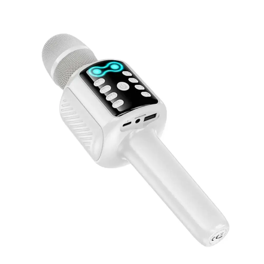 Hoco L24 Karaoke Microphone