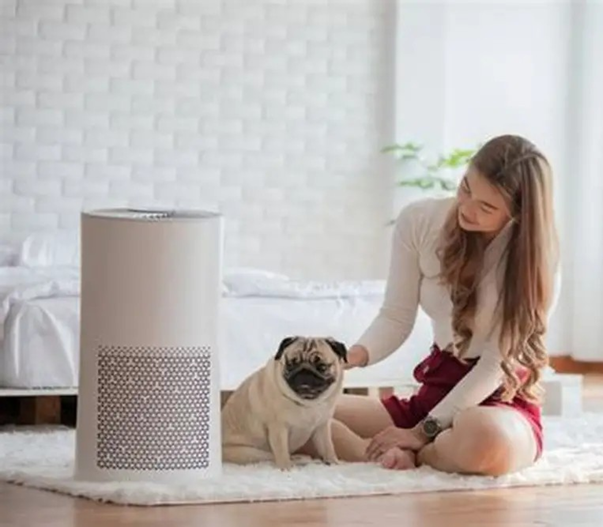 Homedics Total Clean Pet Plus 5 In 1