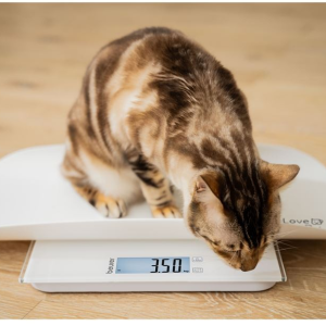 Beurer PP170 Pet Scale