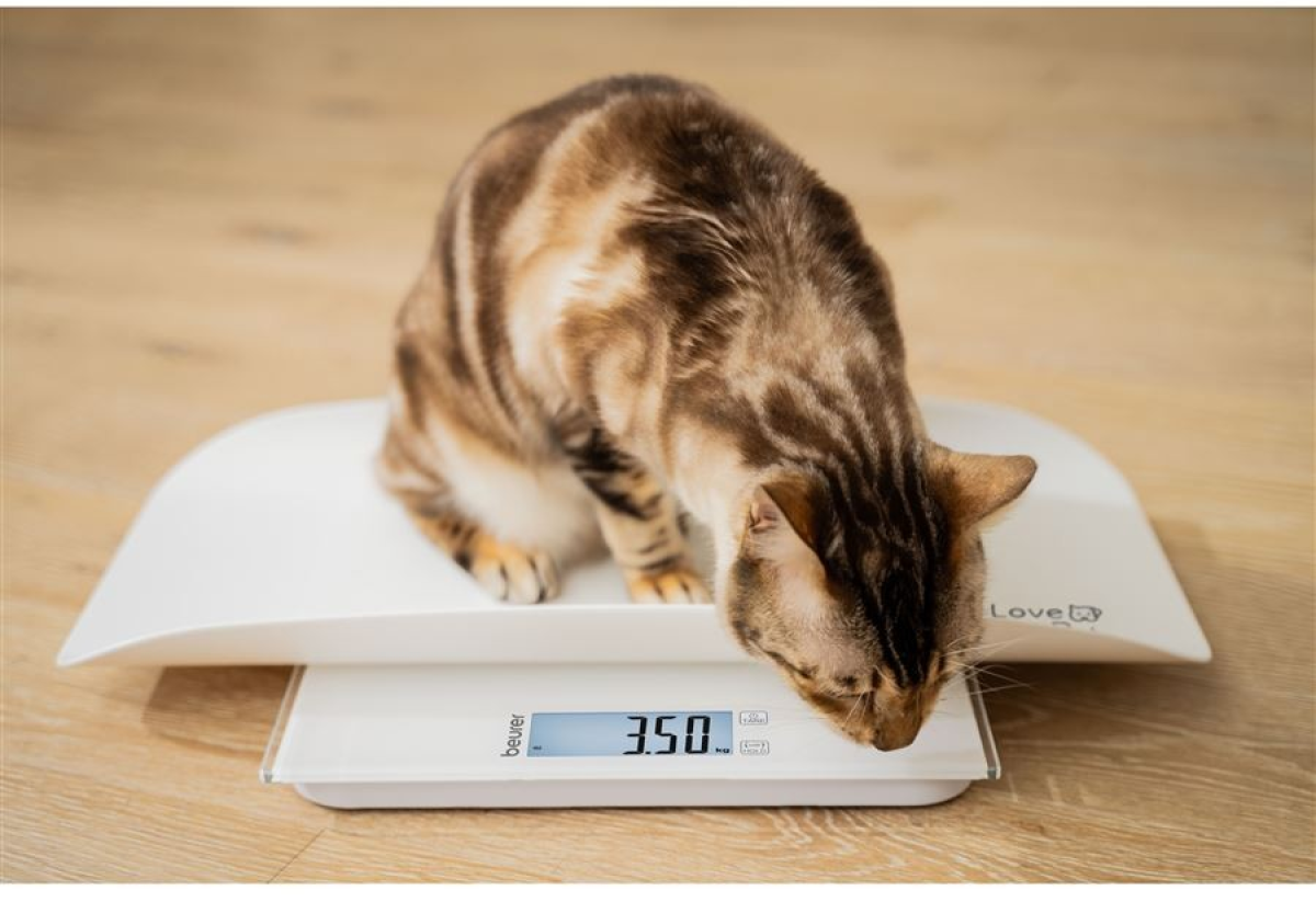 Beurer PP170 Pet Scale