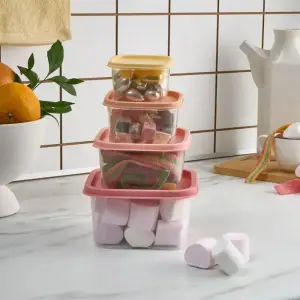 Karaca Dora Mini 4-piece Storage Container, 153.09.01.9610