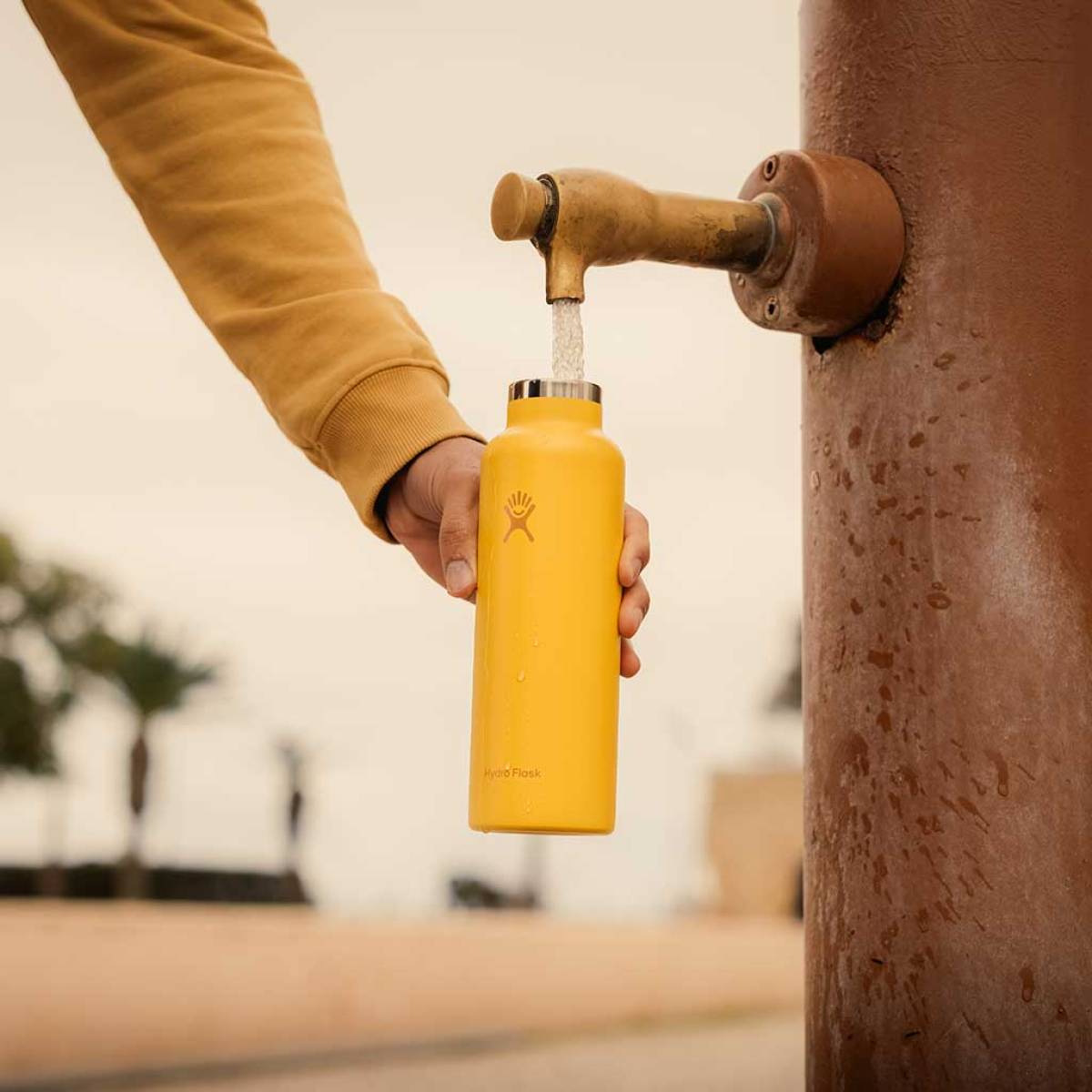 Hydroflask - 21 Oz Standard Flex Cap Sunbeam
