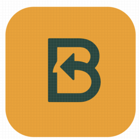 Backsie Inc logo