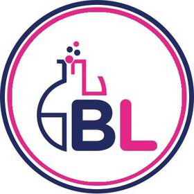 BraveLabs BV logo