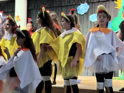 Following Dreams with Spring Chicken | MLS