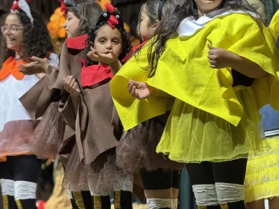 Following Dreams with Spring Chicken | MLS