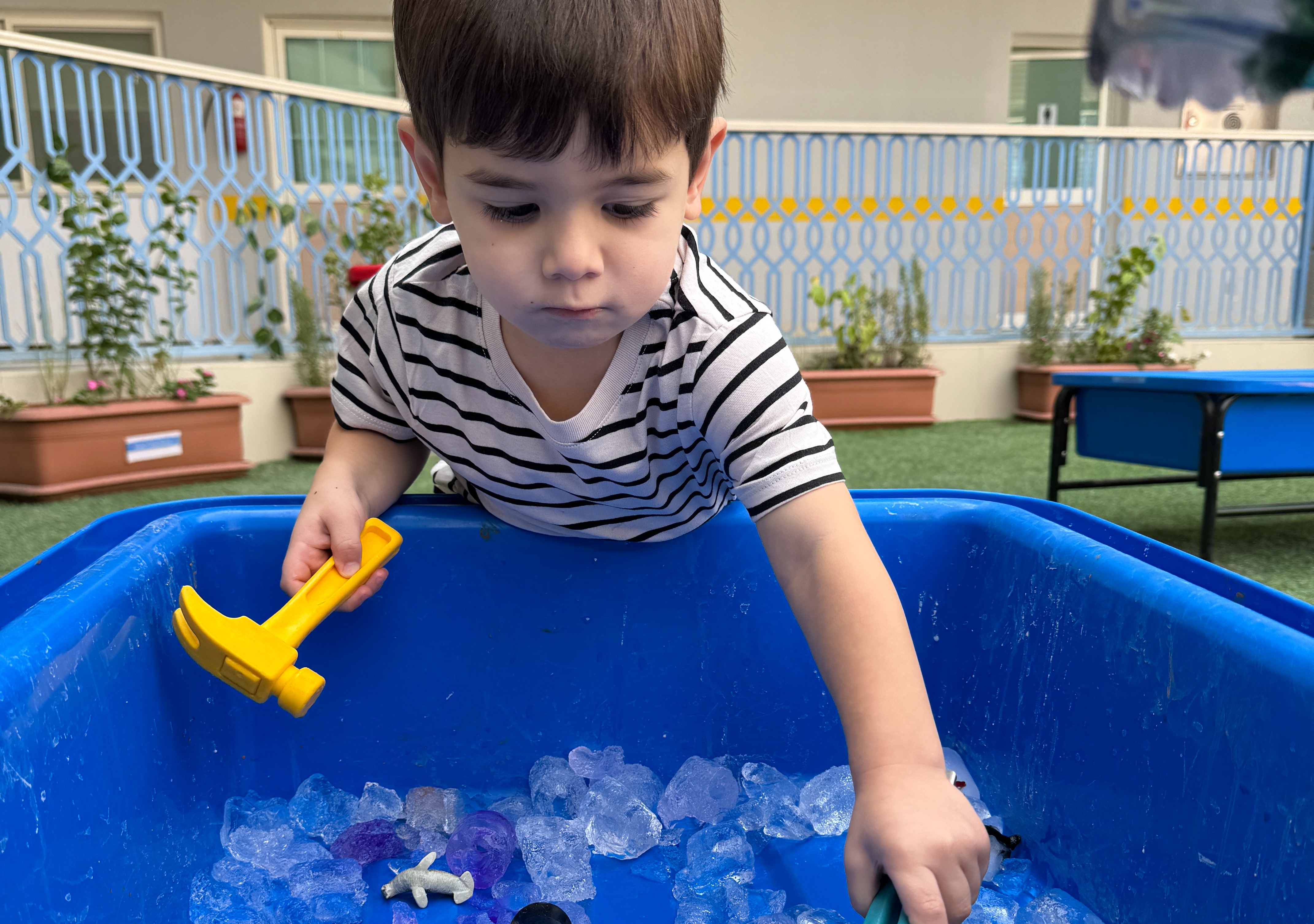 Ice Sensory Exploration | MLS