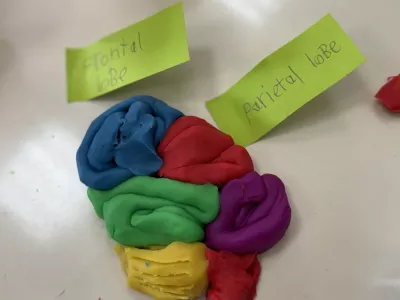 Student Led Conferences | MLS